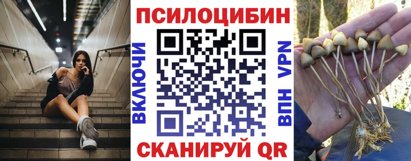 купить   Джанкой  Псилоцибиновые грибы Magic Shrooms 