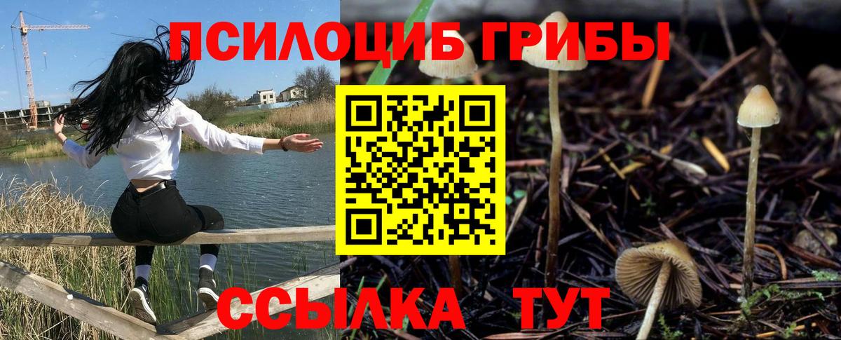 Джанкой  Галлюциногенные грибы прущие грибы  Вход с VPN 